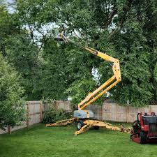 Best Lot and Land Clearing  in Buda, TX