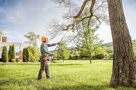 Best Seasonal Cleanup (Spring/Fall)  in Buda, TX