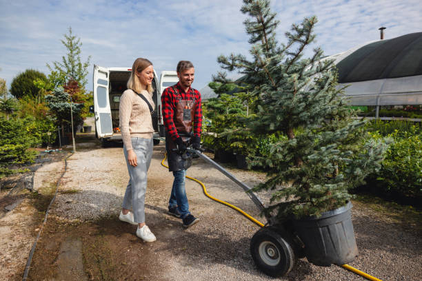 Best Lawn Grading and Leveling  in Buda, TX